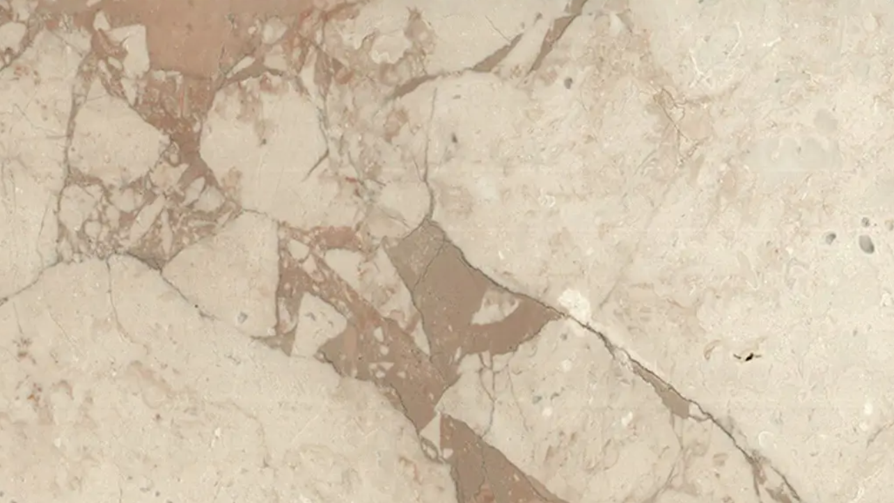 مرمریت کاملیا